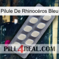 Pilule De Rhinocéros Bleu 08